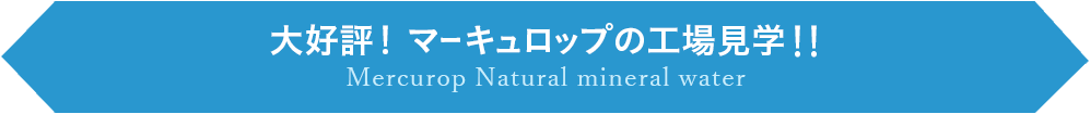 大好評！ マーキュロップの工場見学！！