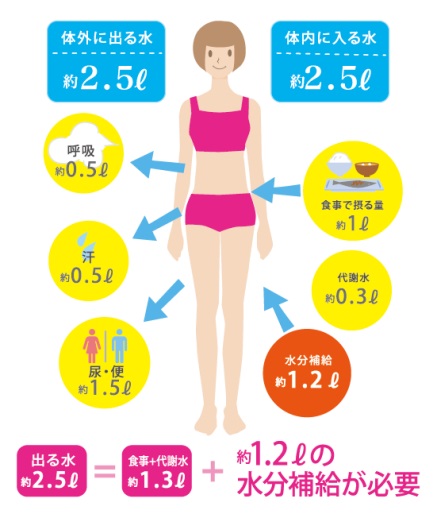 成人一人当たりの使用量