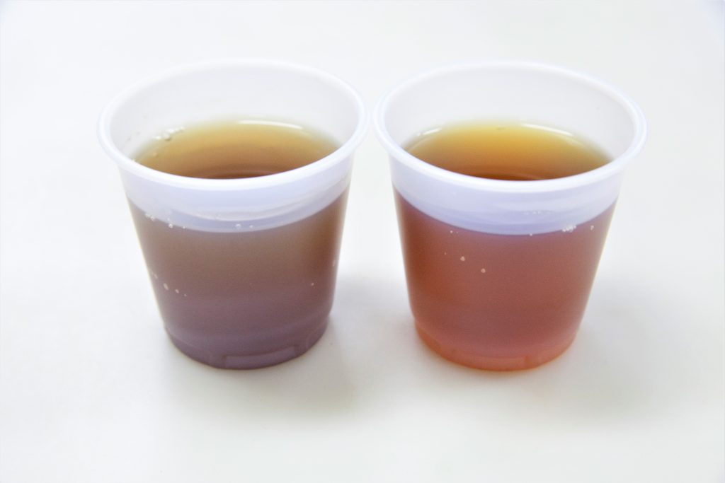 紅茶の硬水と軟水の比較1
