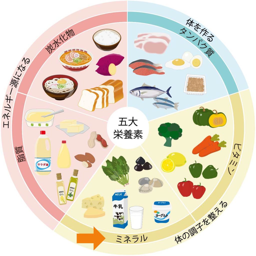 五大栄養素　タンパク質　炭水化物　脂質　ビタミン　ミネラル